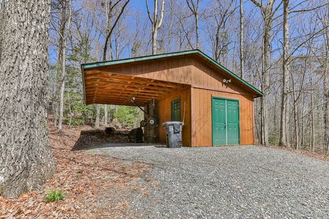 A home in Blue Ridge