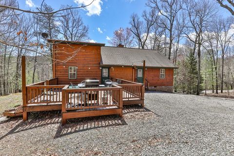 A home in Blue Ridge