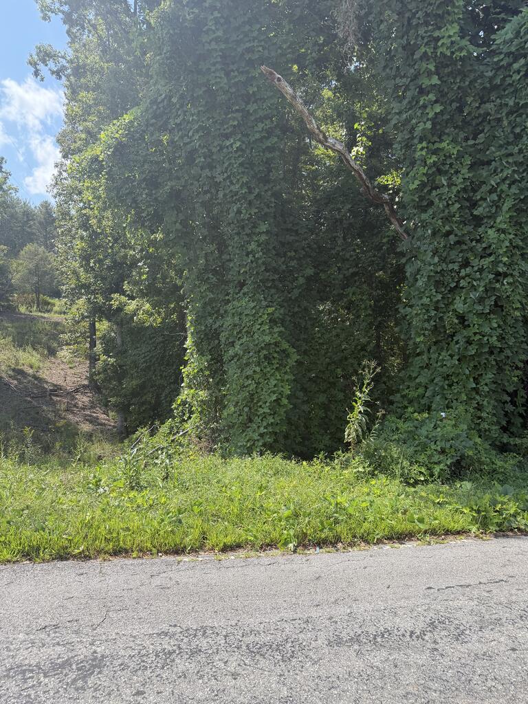 0 Taylor Hensen Road