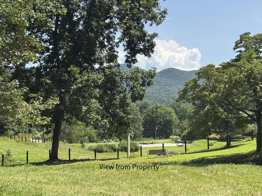 PARKS RD, HIAWASSEE, GA 30546 - Image bdb0ccc4bab7b0362a2b723a50eb8ed7/12407136