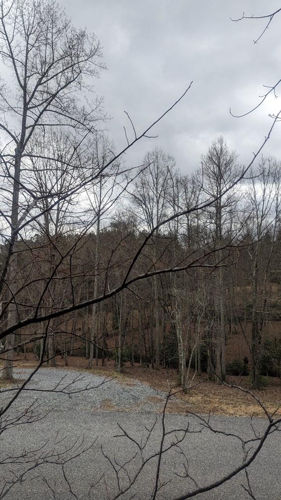 Lot 25 Trailwood Drive