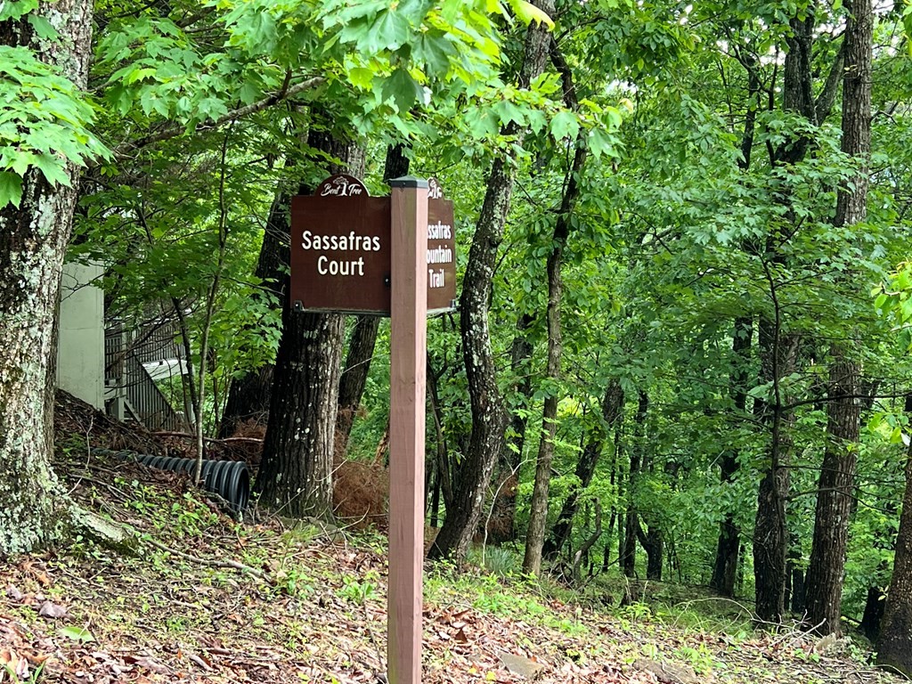 0 Sassafras Court