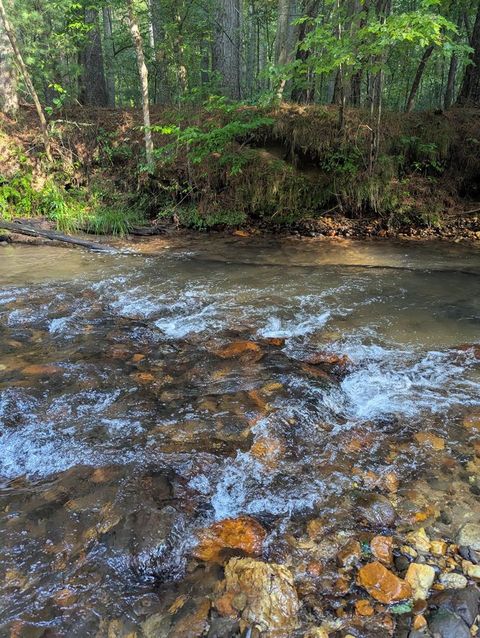 86 Tipton Court Cherry Log GA 30522