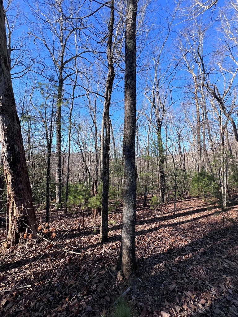 0 Old Parker Terrace