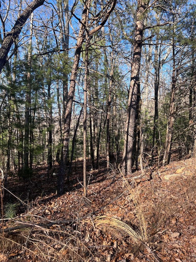 0 Old Parker Terrace