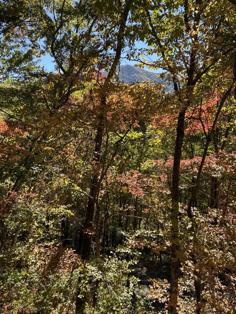 4779 Junaluska Road