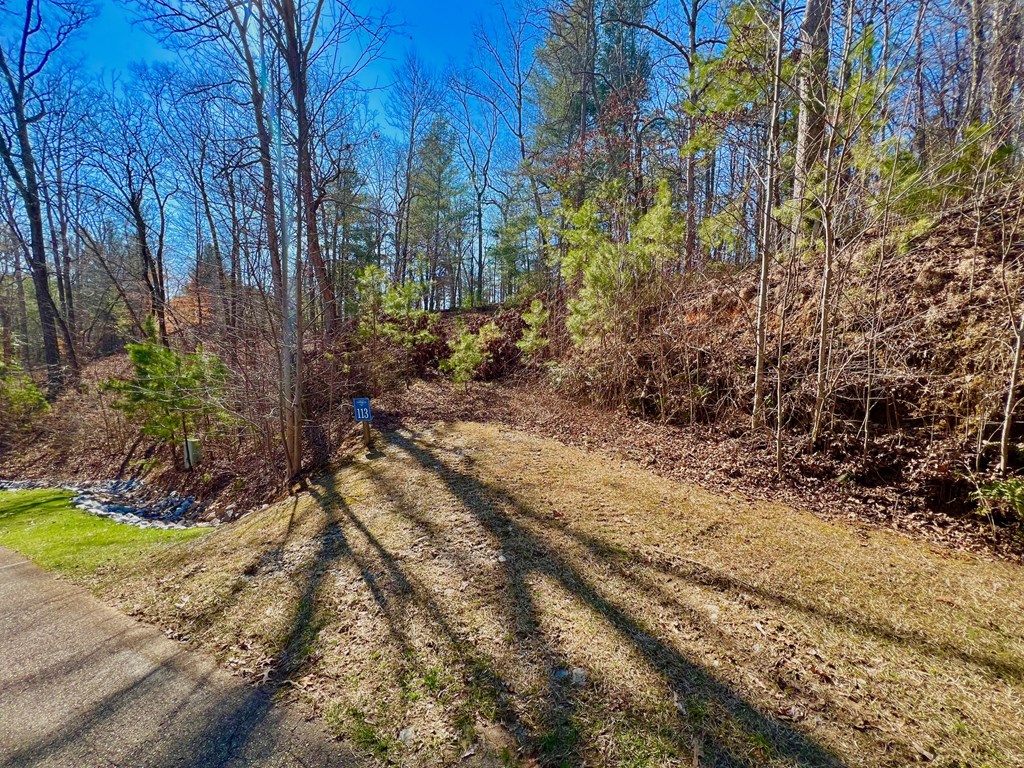 113 Beech Tree Drive