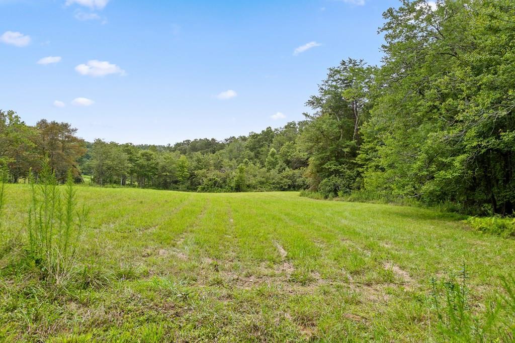Lt 15&16 Bearden Farm Overlook