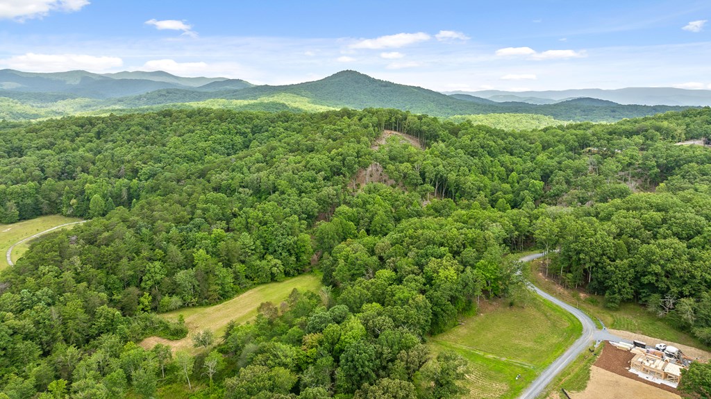 Lt 15&16 Bearden Farm Overlook