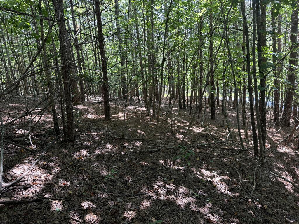 Lot 25 Trailwood Drive