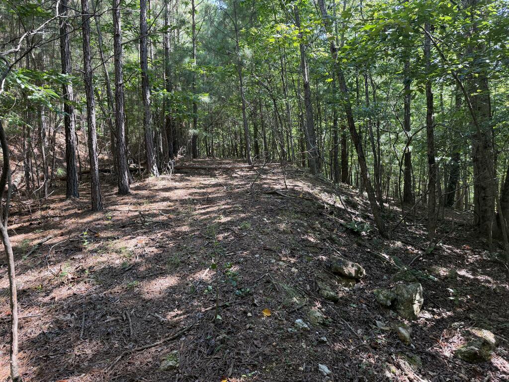 Lot 25 Trailwood Drive