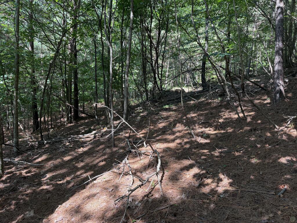Lot 25 Trailwood Drive