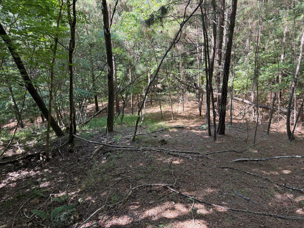 Lot 25 Trailwood Drive