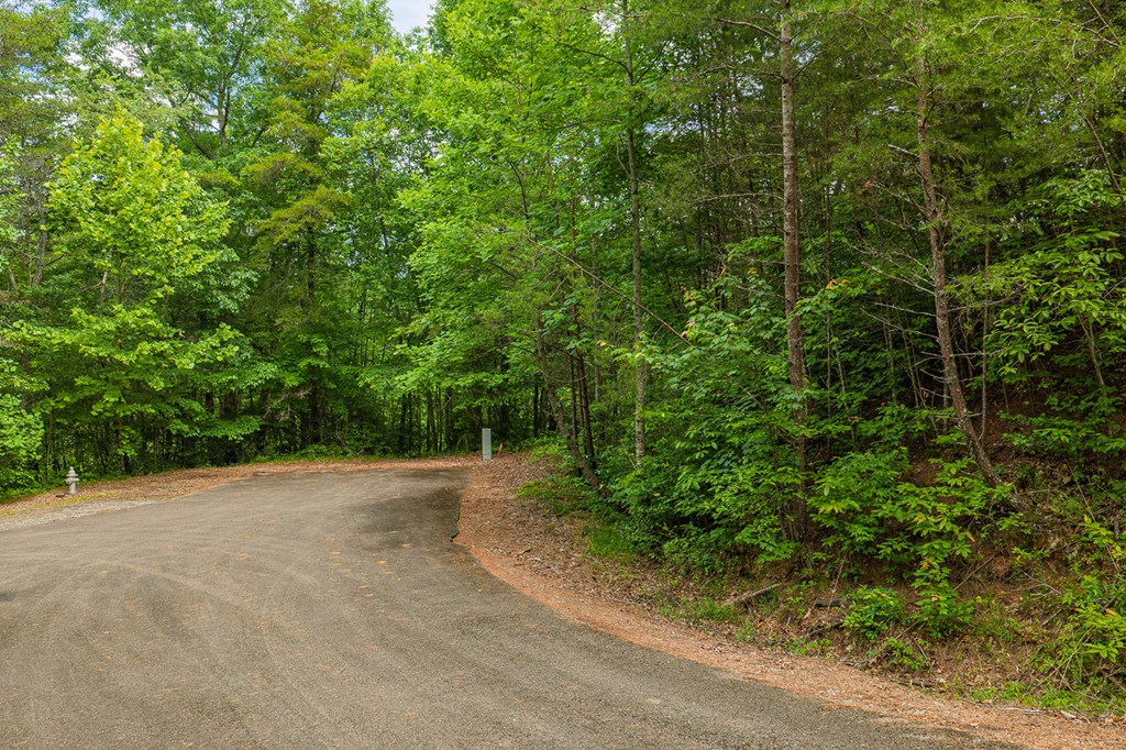 Lot 21 Aspen Avenue