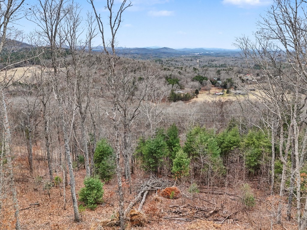 Blairsville, Georgia, 30512, United States, 4 Bedrooms Bedrooms, ,4 BathroomsBathrooms,Residential,Active,2019454