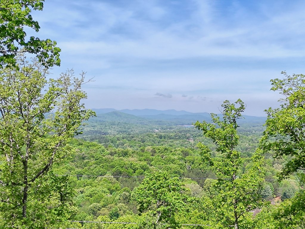 Blairsville, Georgia, 30512, United States, 4 Bedrooms Bedrooms, ,4 BathroomsBathrooms,Residential,Active,2019454
