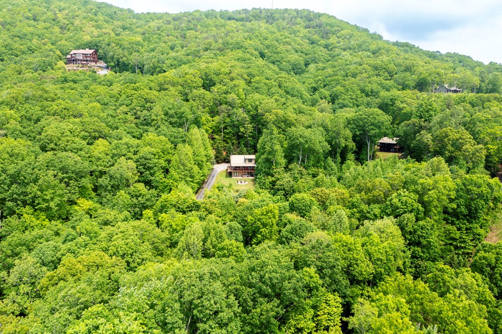 317 Arrowhead Drive