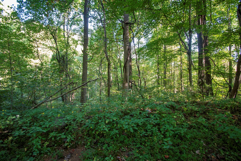 1916 Upper Tuskeegee Road