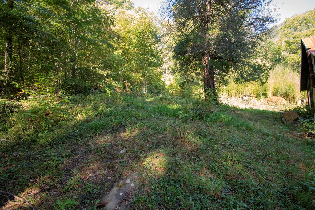 1916 Upper Tuskeegee Road