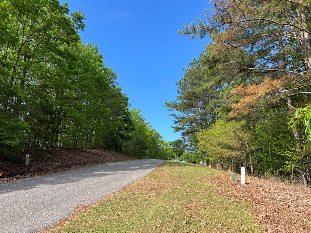 Lot 25 Loftis Mountain