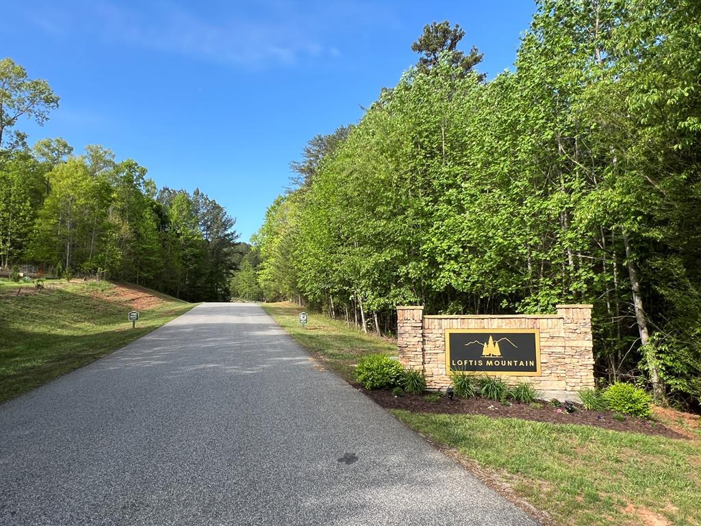 Lot 25 Loftis Mountain