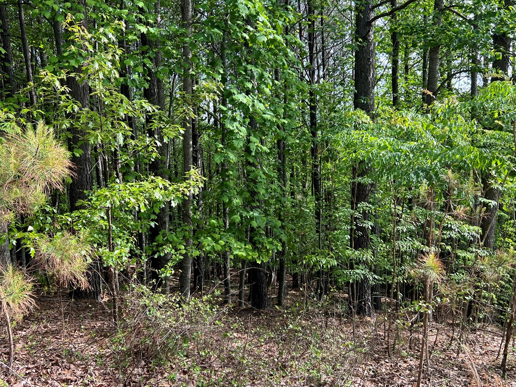 Lot 25 Loftis Mountain