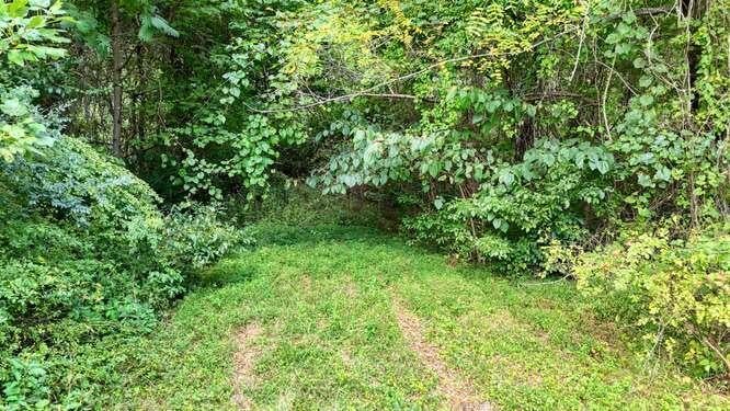 2.885 AC Us Hwy 76 W