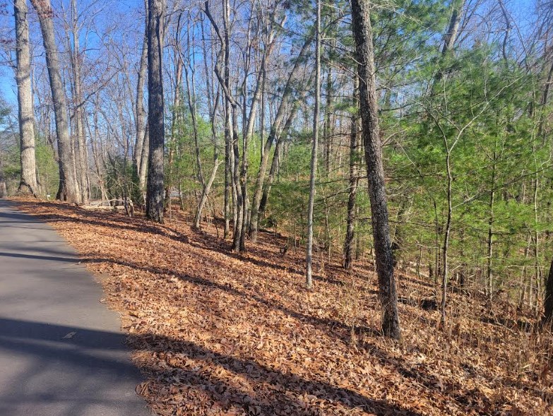 Lot 26 Countryside Lane