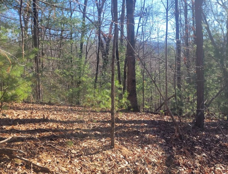 Lot 26 Countryside Lane