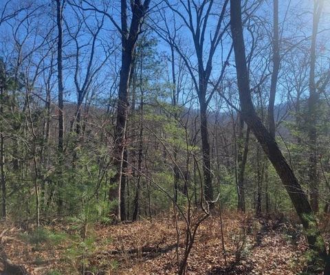 Lot 26 Countryside Lane Hayesville NC 28904