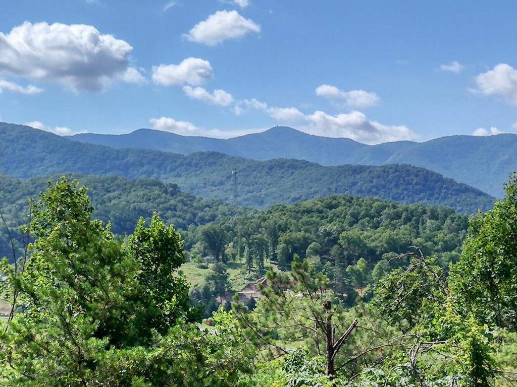 5928 Brasstown Creek Est.