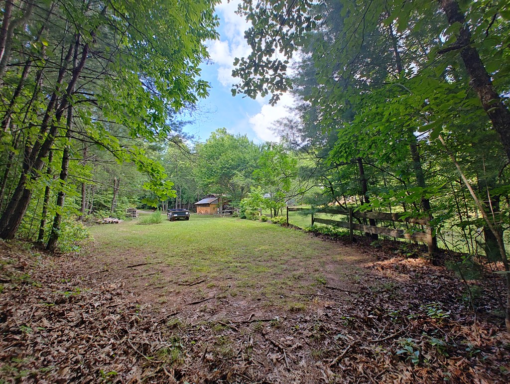 369 Timber Blossom Drive