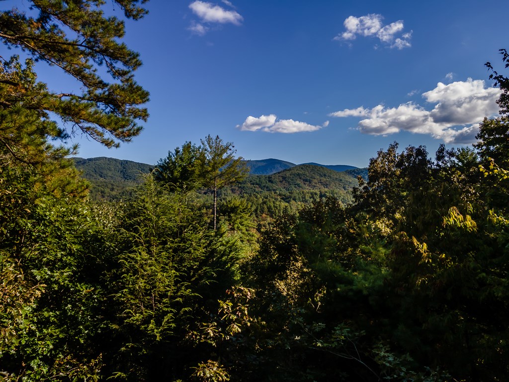 541 Mountain View Circle