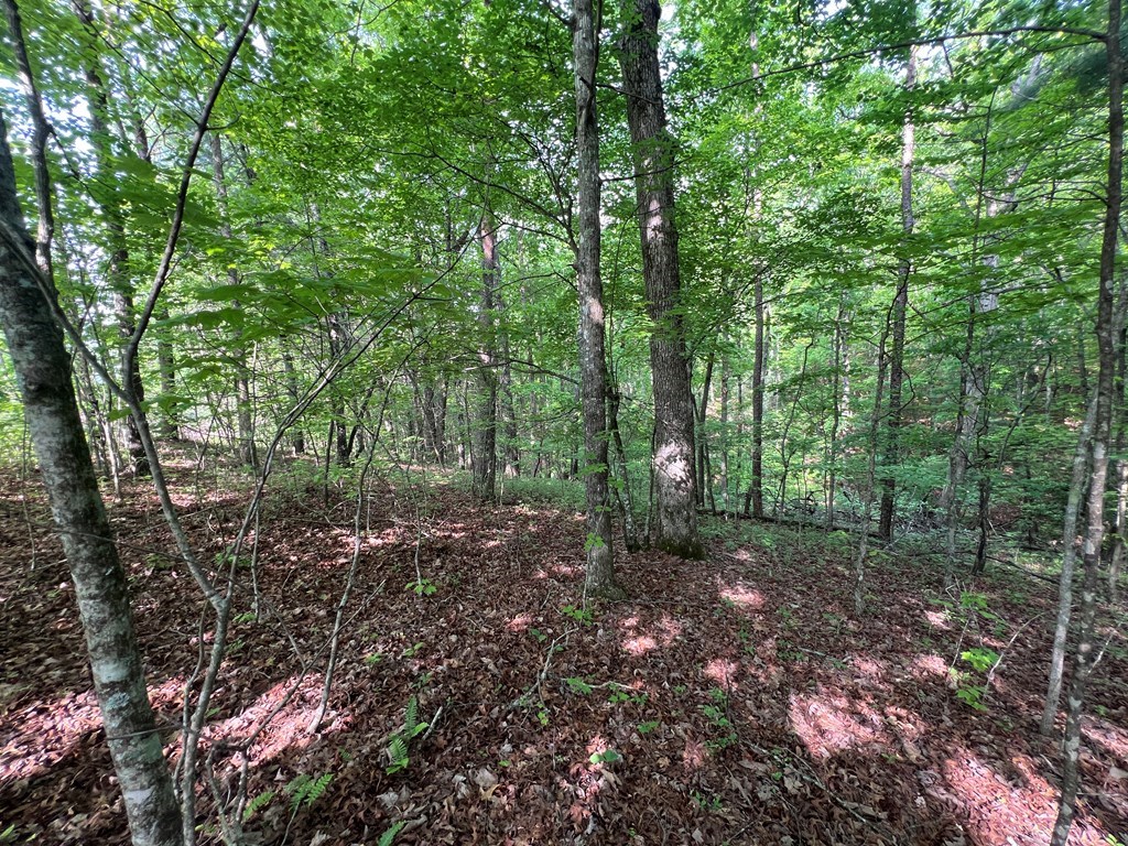 9 + Acre Leonard Lane