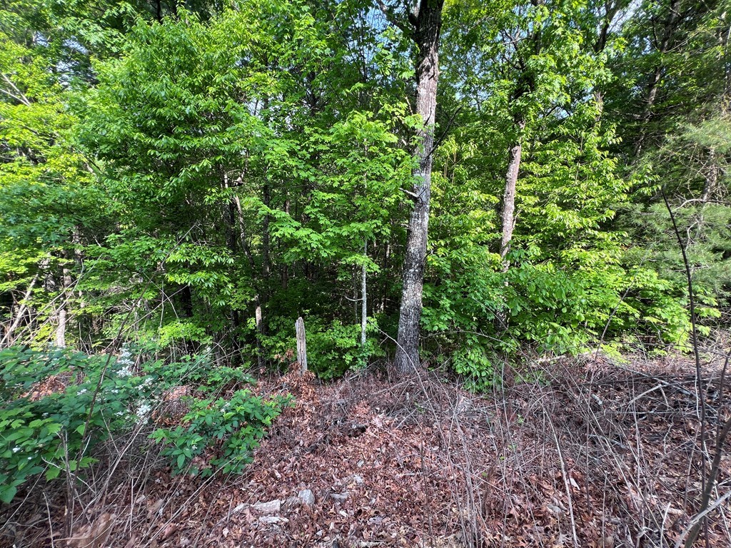 9 + Acre Leonard Lane