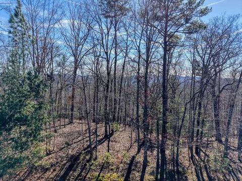 Lot 61 Thirteen Hundred Blairsville GA 30512