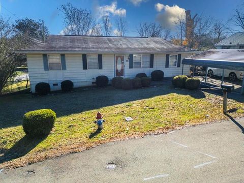 A home in Blue Ridge