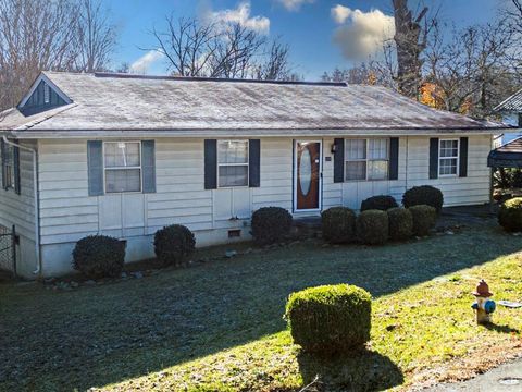 A home in Blue Ridge