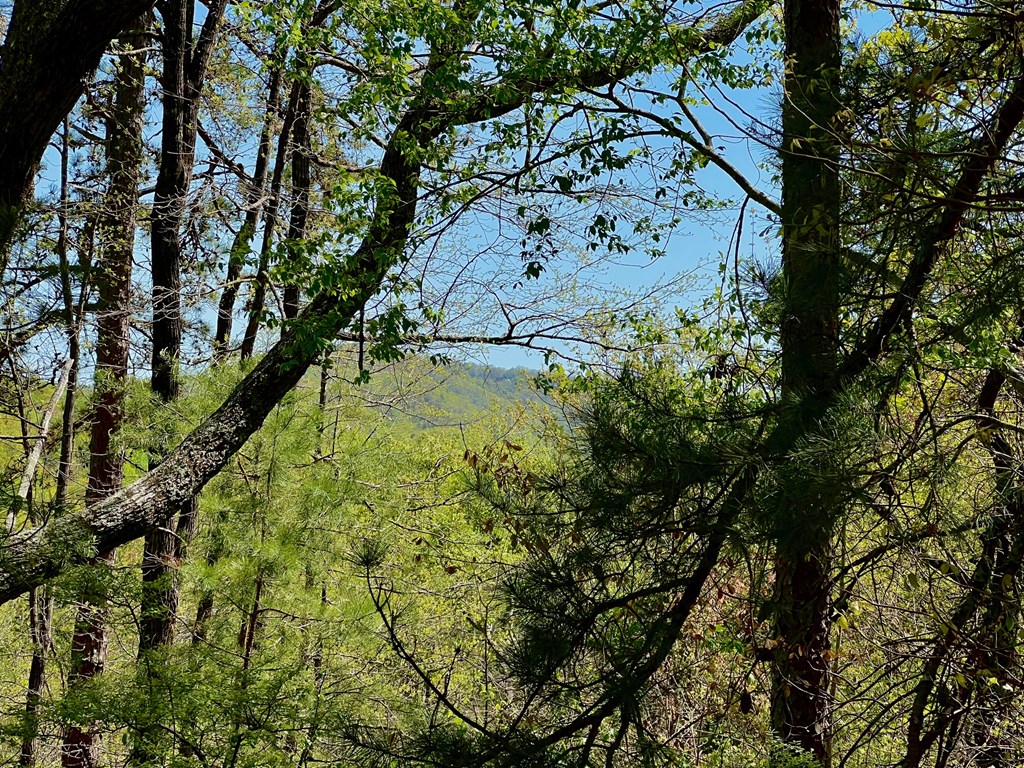 694 Railey Ridge