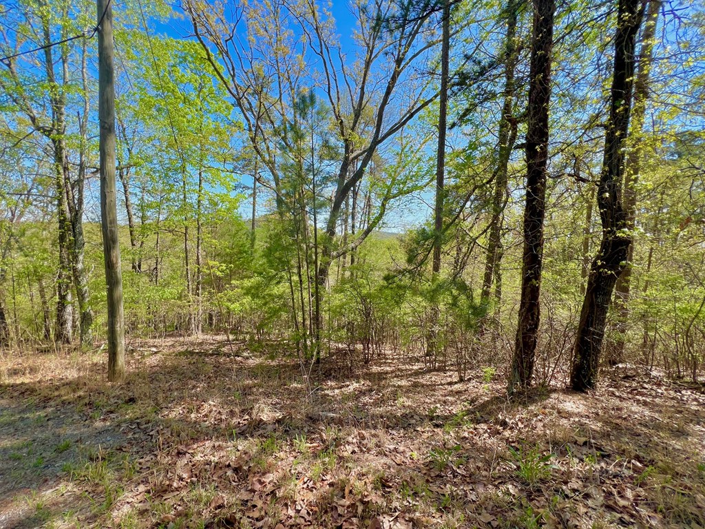 694 Railey Ridge