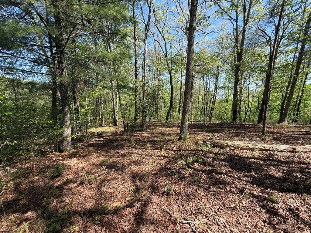 0 Windfield Circle