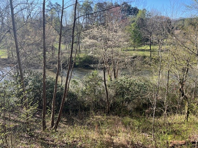 Lot 2 Misty River Sub