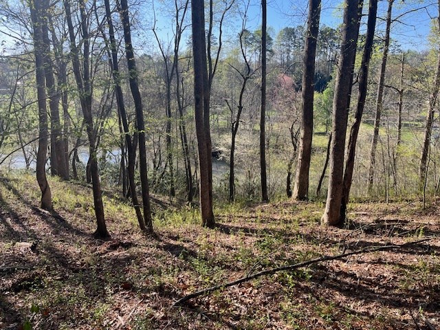 Lot 2 Misty River Sub