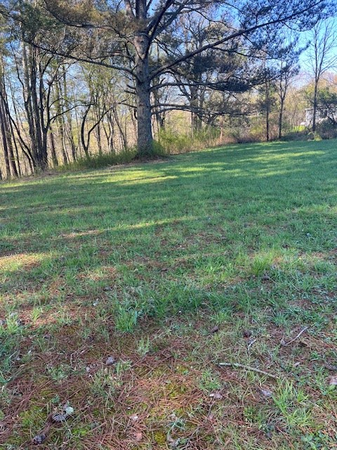 Lot 2 Misty River Sub