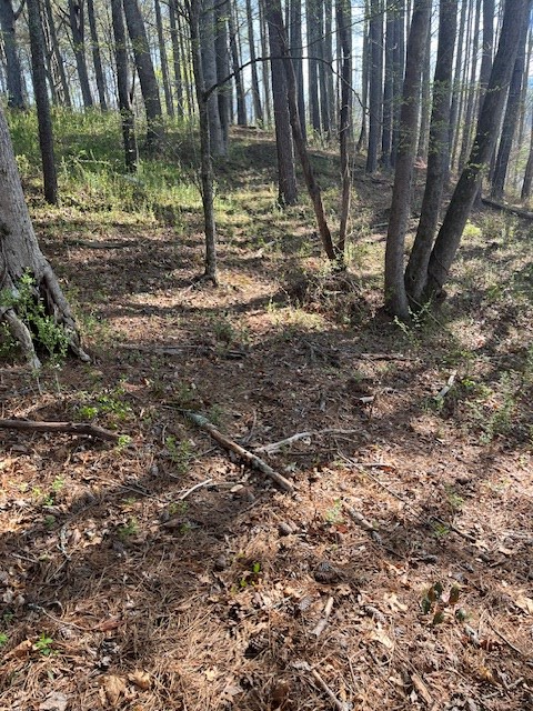 Lot 2 Misty River Sub