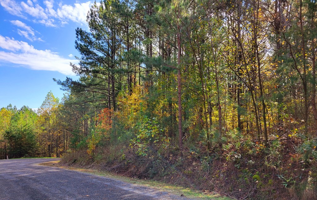 LOT 6 Black Bear Ridge Road