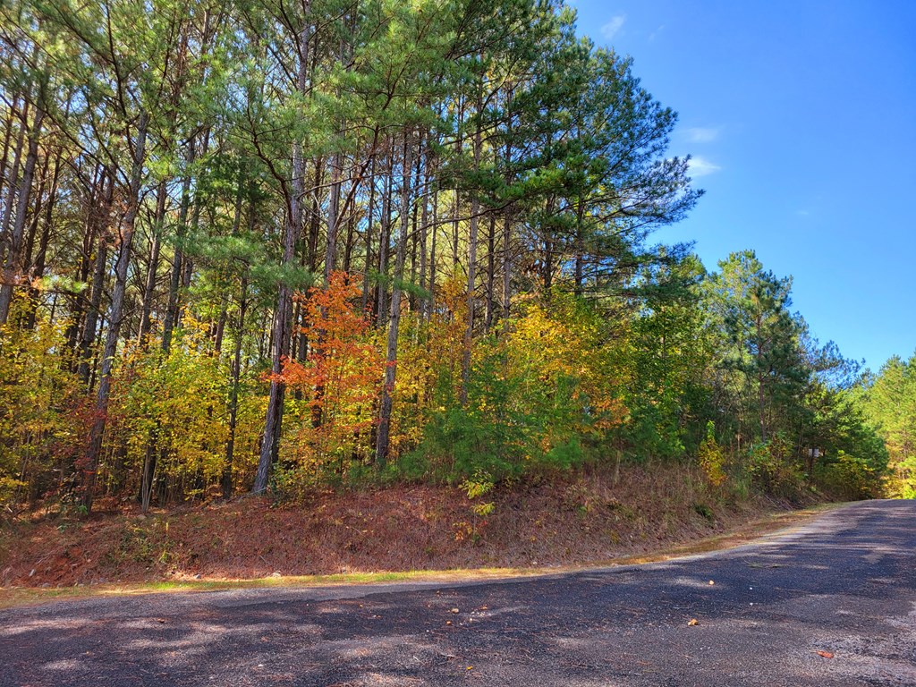 LOT 6 Black Bear Ridge Road