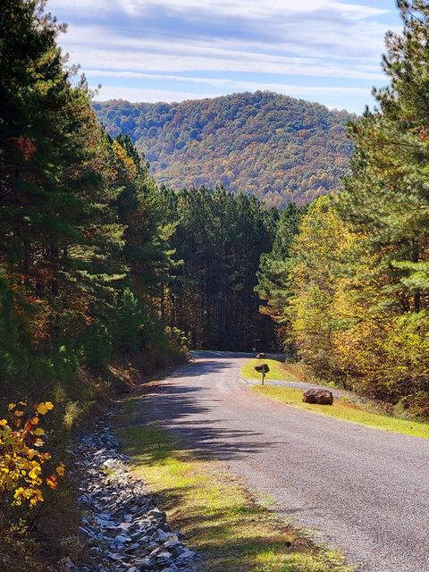 LOT 6 Black Bear Ridge Road Ellijay GA 30536