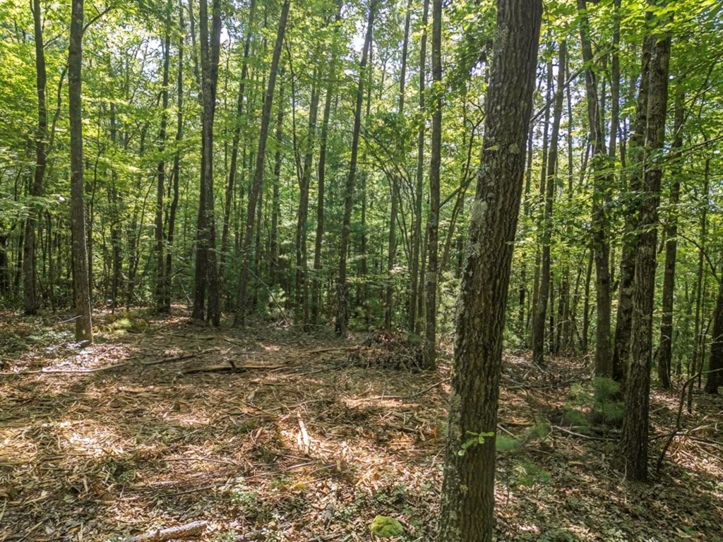 83.9 Ac Cutcane Road