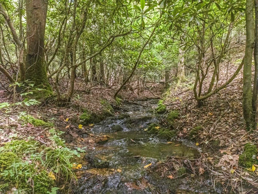 83.9 Ac Cutcane Road